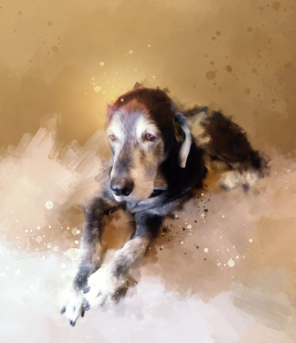 Framed Canvas Dog Portrait